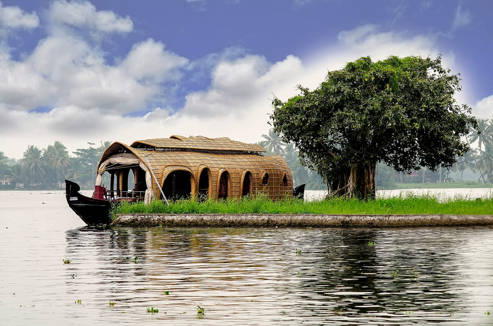 The Alleppey backwaters, Kerala