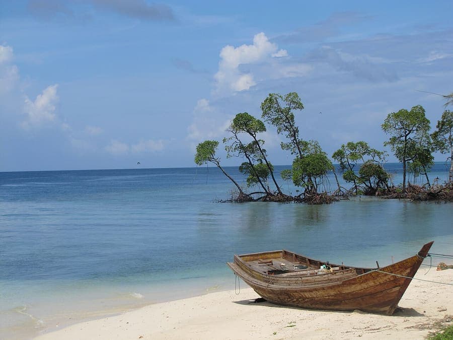 Havelock Island, Andaman — Swaraj Dweep — the beach everyone comes for.