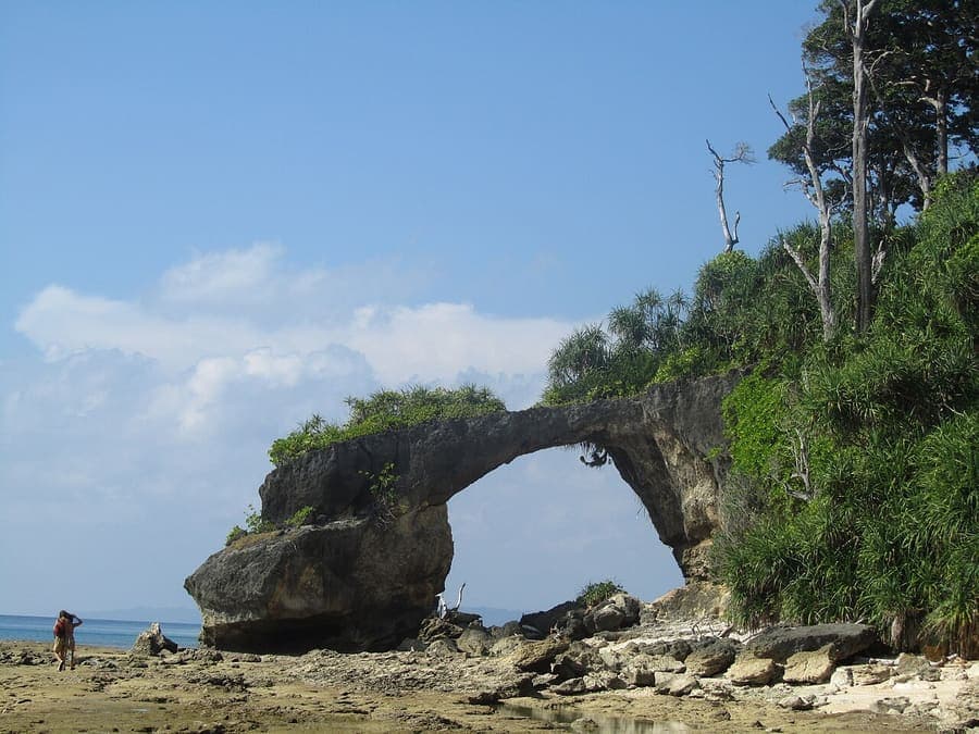 Neil Island, Andaman — Coral, natural bridges, and nothing to do.