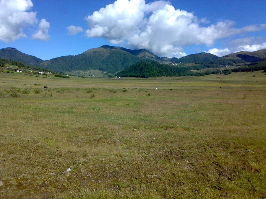 Phobjikha Valley, Bhutan — Where the black-necked cranes winter.