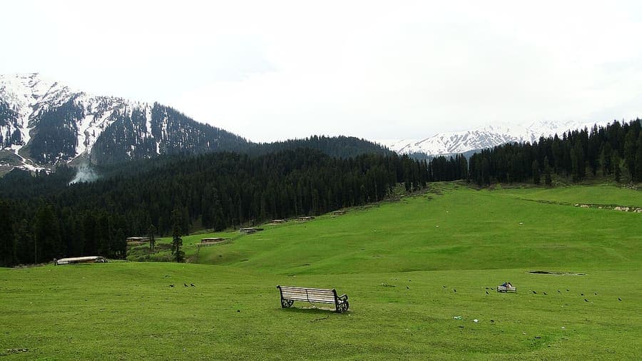 Doodhpathri, Kashmir — The valley of milk, quiet and green.