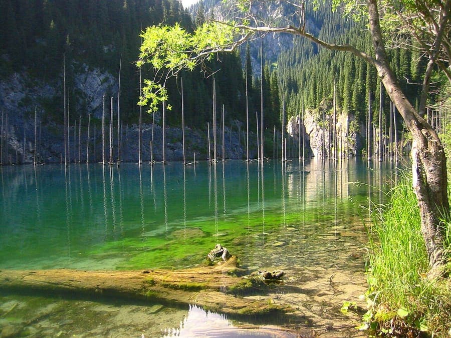 Kaindy Lake, Kazakhstan — A sunken forest still standing underwater.