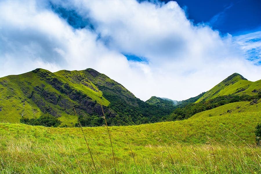 Wayanad, Kerala — Spice hills, caves and quiet estates.