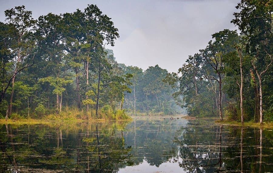 Chitwan National Park, Nepal — Rhinos and elephants in the Terai.