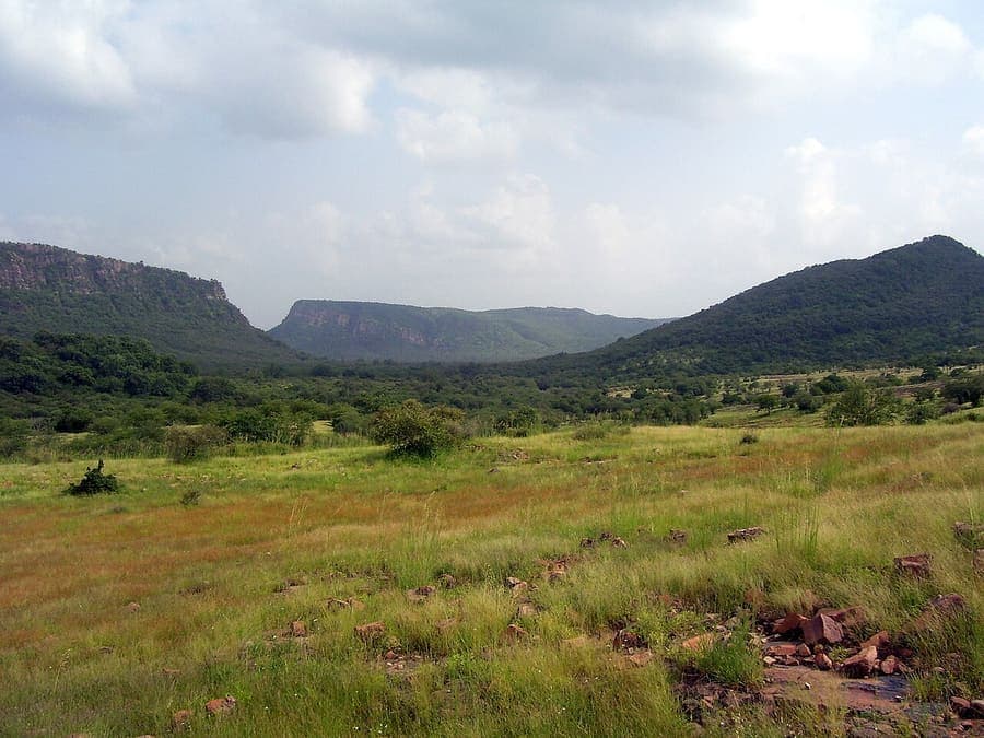 Ranthambore, Rajasthan — Tigers among the ruins.