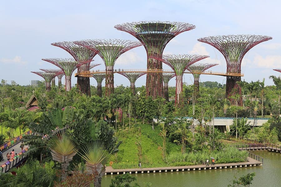 Gardens by the Bay, Singapore — Supertrees that light up after dark.