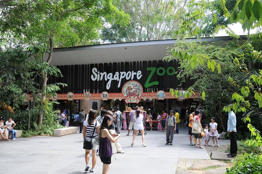 Singapore Zoo, Singapore — Open enclosures, and the night safari next door.