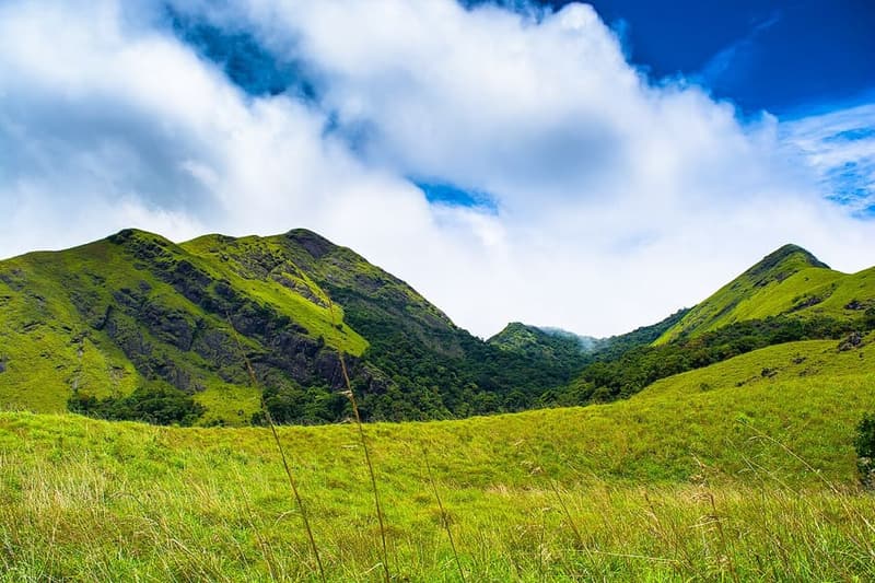 Wayanad, Kerala — Spice hills, caves and quiet estates.