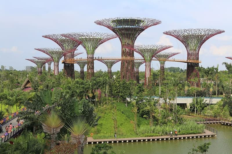 Gardens by the Bay, Singapore — Supertrees that light up after dark.